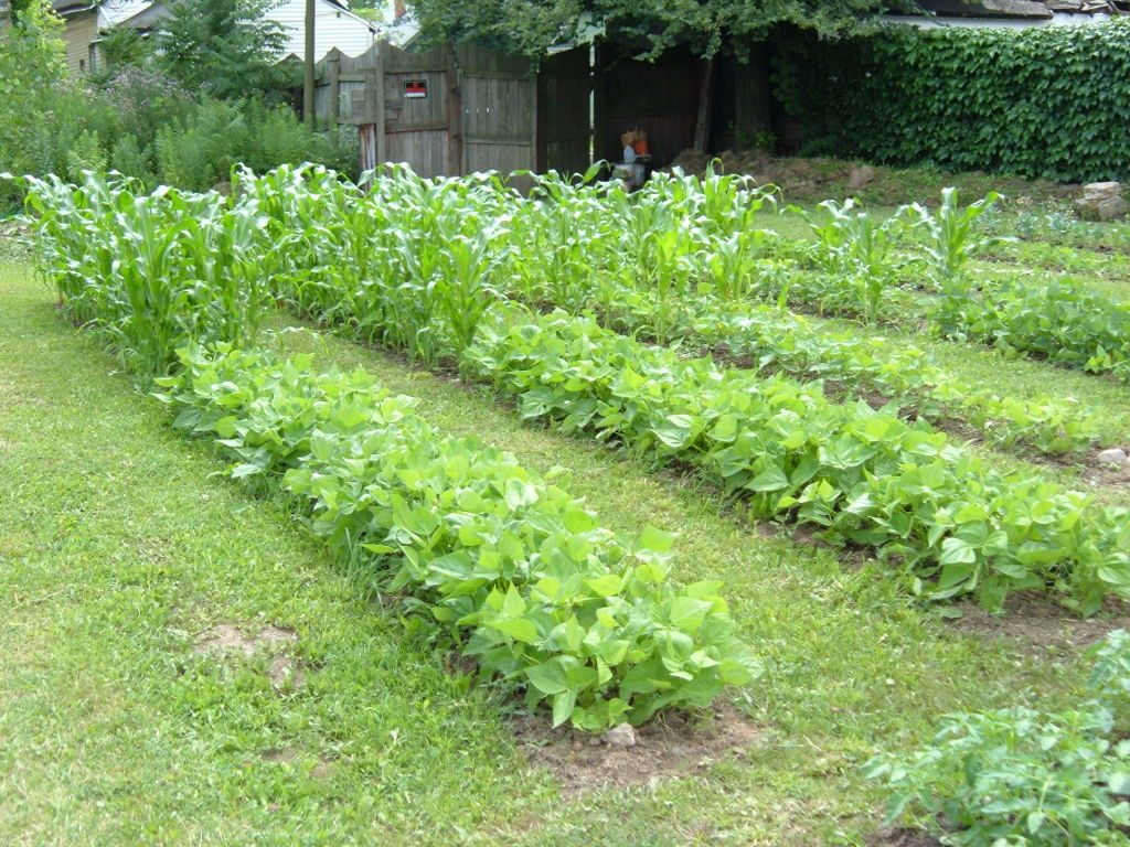 Garden2008